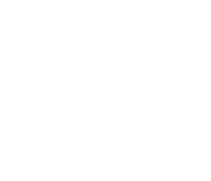 Vertex Sanitarios